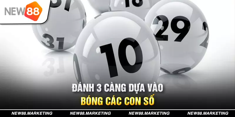 Cách Chơi Đề 3 Càng Vào Bờ Thành Công Dành Cho Anh Em 7 Đánh 3 càng dựa vào bóng các con số